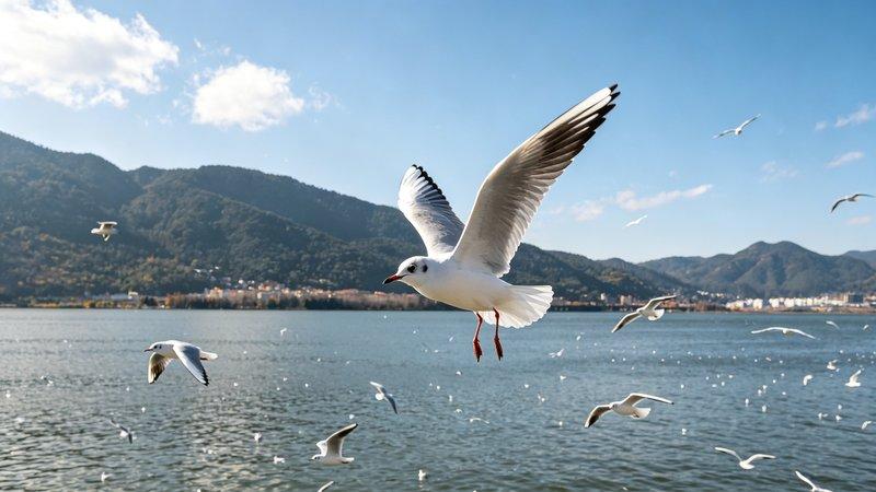 1789599759954519.jpg 旅游攻略配图