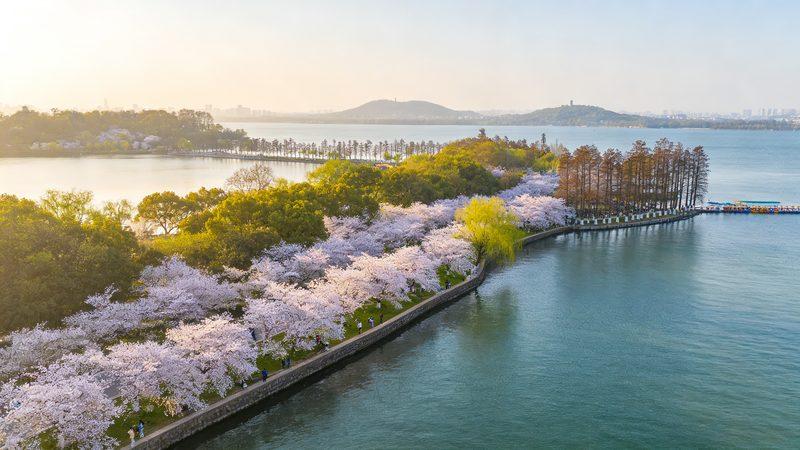 马鞍山花海游览体验好坏差在哪