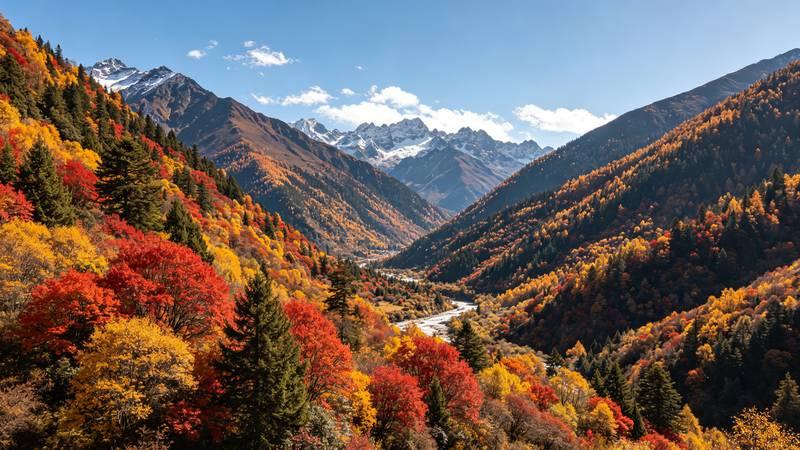楚雄把湖泊行程安排明白的步骤