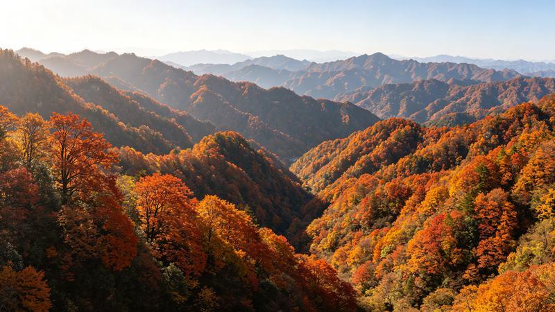 安康石窟游览节奏与动线规划